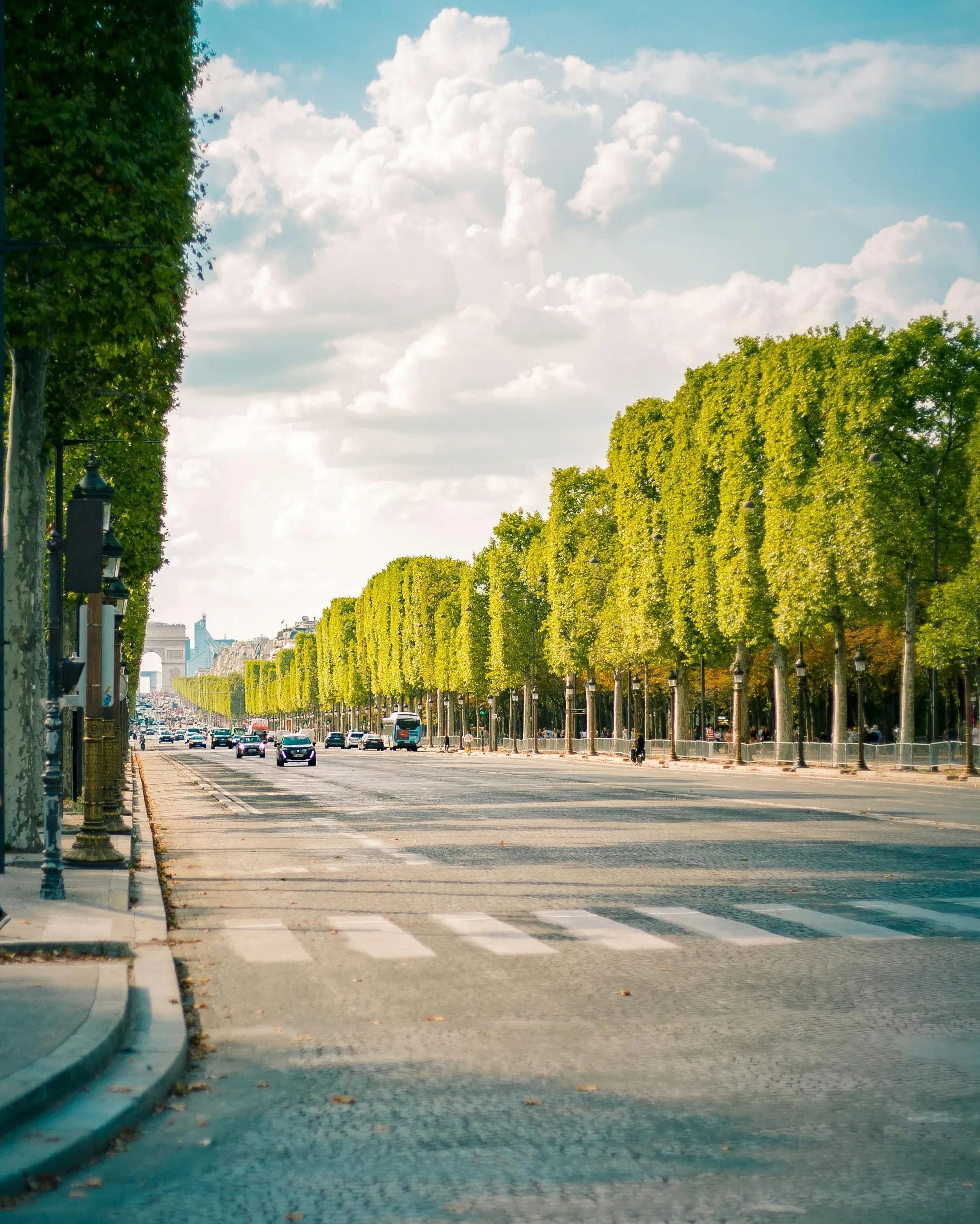 Avenue bordée d'arbres avec l'Arc de Triomphe.